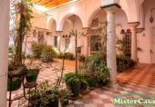 Chalet independiente con terreno en venta en la España, Arcos de la Frontera, ref: TR416043 foto