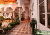 Chalet independiente con terreno en venta en la España, Arcos de la Frontera, ref: TR416043 foto