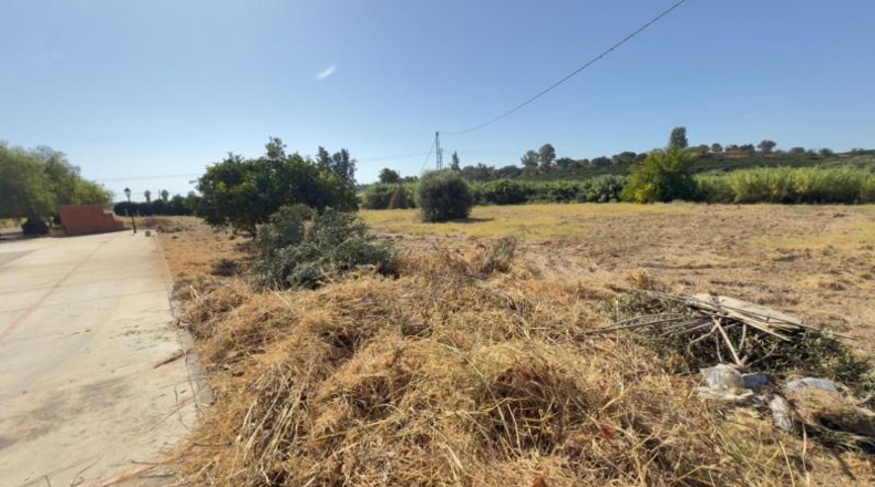 Huelva - Gibraleón - 21942m2