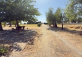 Casa de camp amb terreny en venda a la España, Gibraleón, ref.: TR338189 foto