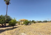 Casa de camp amb terreny en venda a la España, Gibraleón, ref.: TR338189 foto