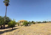 Casa de camp amb terreny en venda a la España, Gibraleón, ref.: TR338189 foto