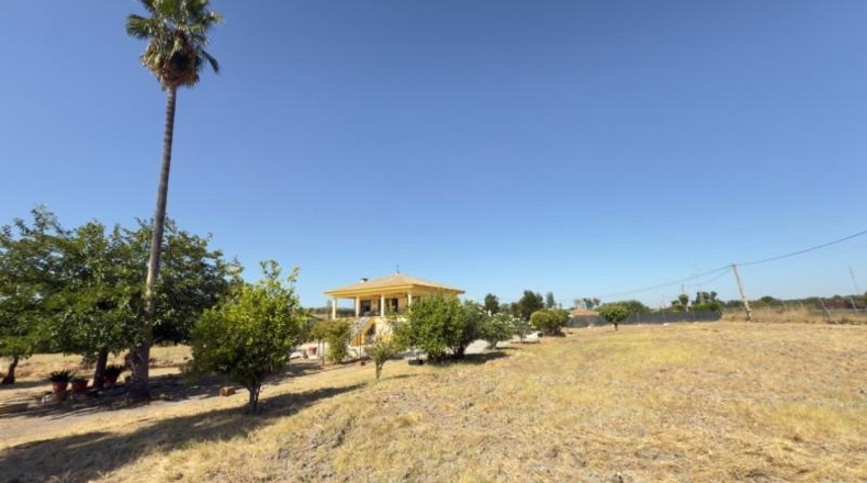 Huelva - Gibraleón - 21942m2