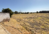 Casa de camp amb terreny en venda a la España, Gibraleón, ref.: TR338189 foto