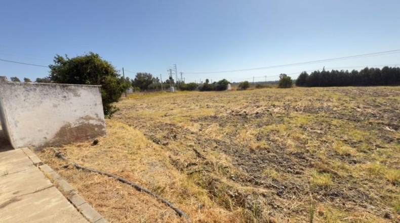 Huelva - Gibraleón - 21942m2