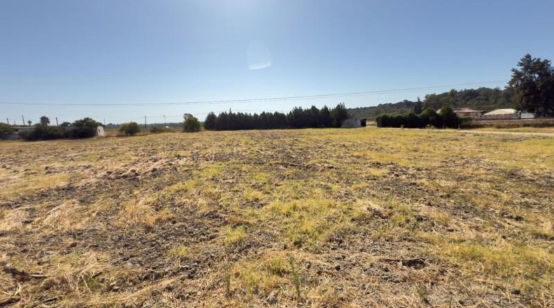 Huelva - Gibraleón - 21942m2