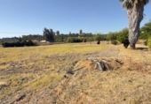 Casa de camp amb terreny en venda a la España, Gibraleón, ref.: TR338189 foto