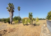 Casa de camp amb terreny en venda a la España, Gibraleón, ref.: TR338189 foto