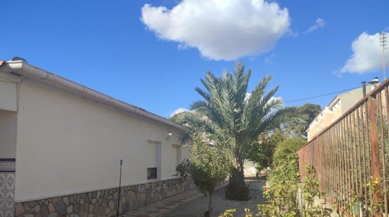 Alicante - Monóvar - 822m2