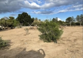 Sòl urbà en venda a la España, Mutxamel, ref.: TR416055 foto