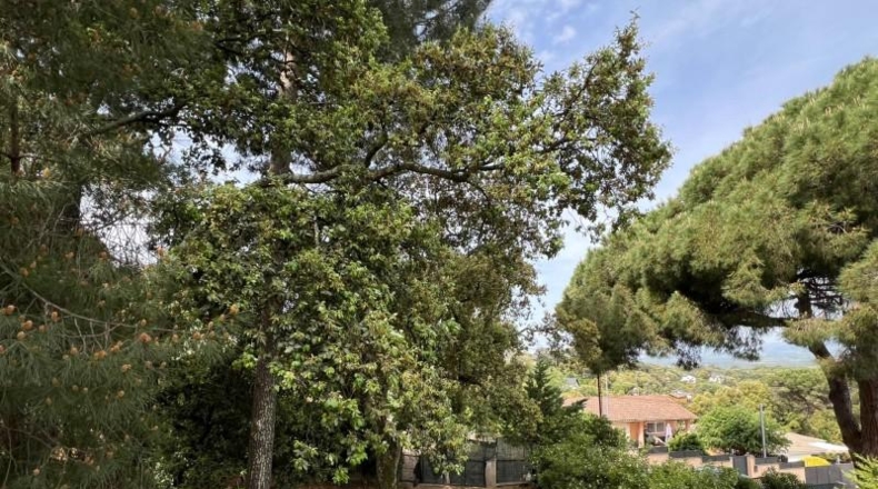 Barcelona - Vallgorguina - 995m2