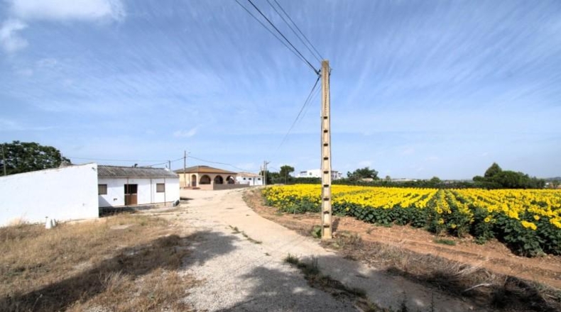 Cadiz - Jerez de la Frontera - 53703m2