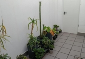 Дом с участком на продажу в городе Rociana del Condado Фото