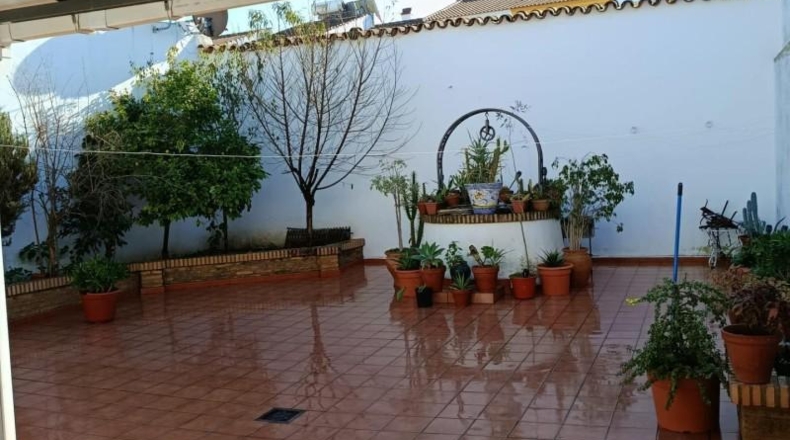 Huelva - Rociana del Condado - 387m2