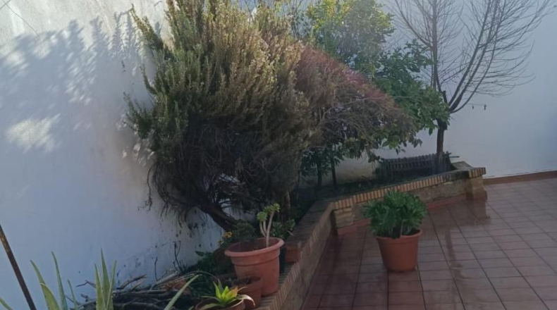 Huelva - Rociana del Condado - 387m2