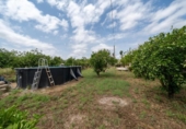Casa de campo con terreno en venta en la España, Sant Joan, ref: TR416086 foto