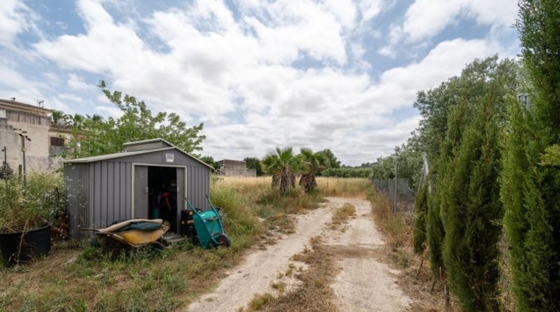 Balearic Islands - Sant Joan - 4367m2