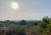 Terreno no urbanizable en venta en la España, Mugardos, ref: TR124117 foto