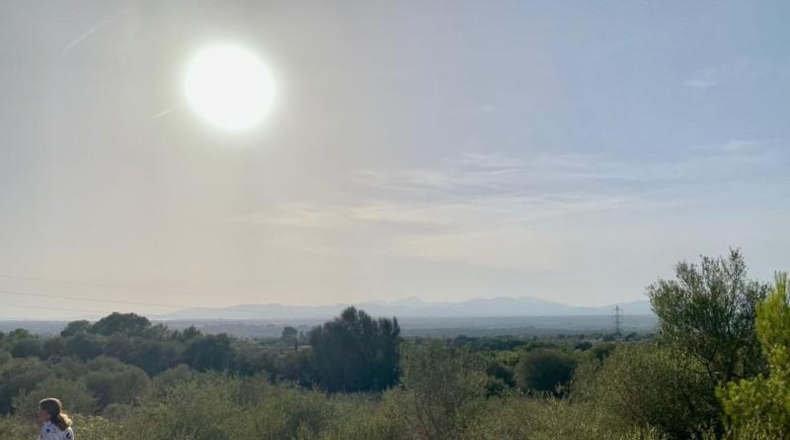 Balearic Islands - Palma - 67000m2