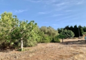 Terreno no urbanizable en venta en la España, Mugardos, ref: TR124117 foto