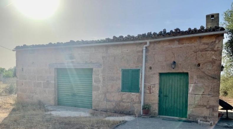 Balearic Islands - Palma - 67000m2