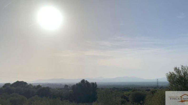 Balearic Islands - Palma - 67000m2