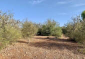 Terreno no urbanizable en venta en la España, Mugardos, ref: TR124117 foto
