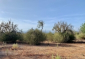 Terreno no urbanizable en venta en la España, Mugardos, ref: TR124117 foto