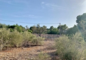 Terreno no urbanizable en venta en la España, Mugardos, ref: TR124117 foto