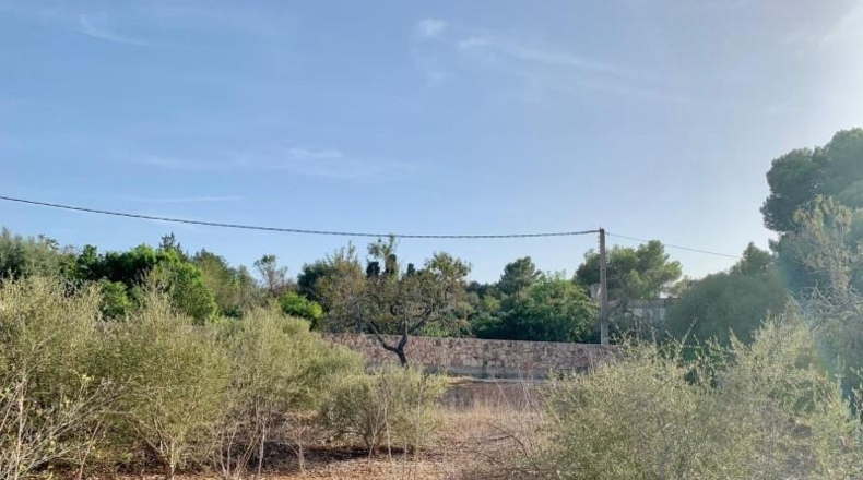 Balearic Islands - Palma - 67000m2