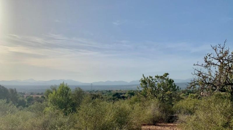 Balearic Islands - Palma - 67000m2