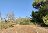 Terreno no urbanizable en venta en la España, Mugardos, ref: TR124117 foto