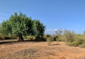 Terreno no urbanizable en venta en la España, Mugardos, ref: TR124117 foto