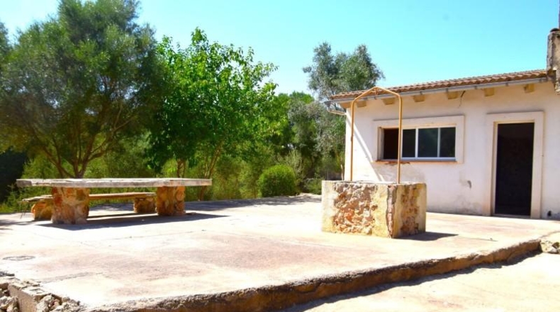 Balearic Islands - Muro - 3386m2