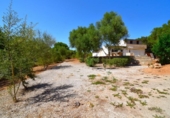 Chalet independiente con terreno en venta en la España, Muro, ref: TR416110 foto