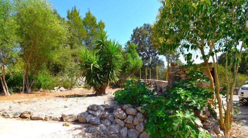 Balearic Islands - Muro - 3386m2