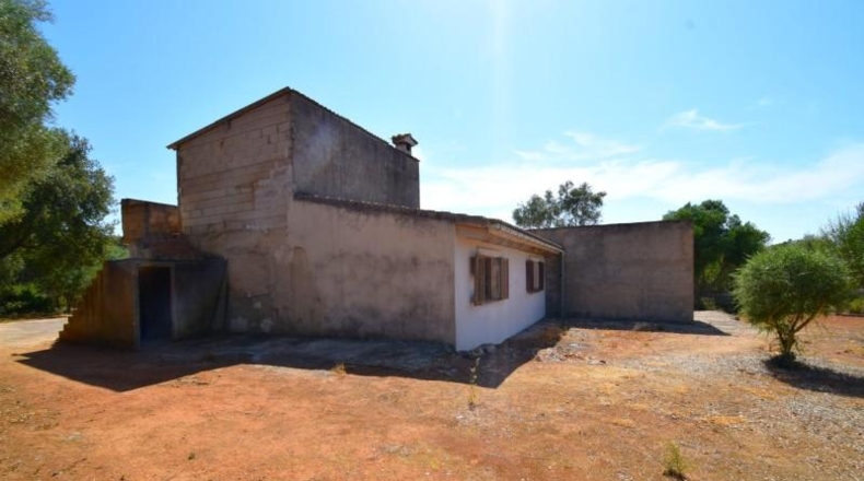 Balearic Islands - Muro - 3386m2