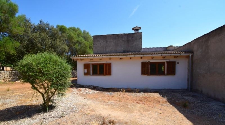 Balearic Islands - Muro - 3386m2