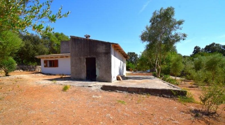 Balearic Islands - Muro - 3386m2