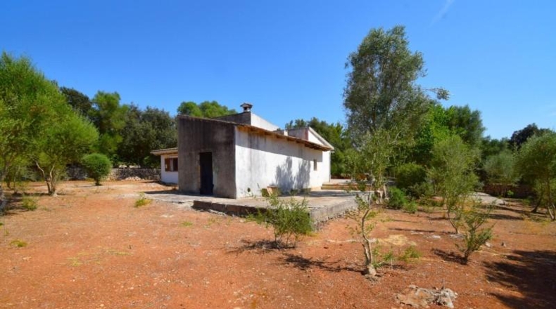 Balearic Islands - Muro - 3386m2