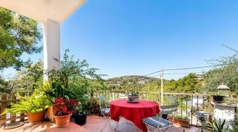 Barcelona - Olivella - 827m2
