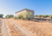 Terreno no urbanizable en venta en la España, Chauchina, ref: TR416118 foto