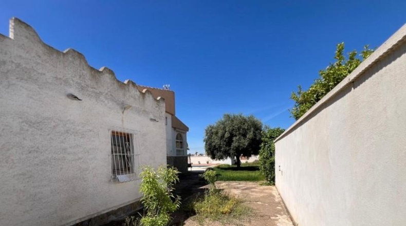 Alicante - Torrevieja - 959m2