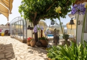 Chalet independiente con terreno en venta en la España, Mont-roig del Camp, ref: TR416136 foto