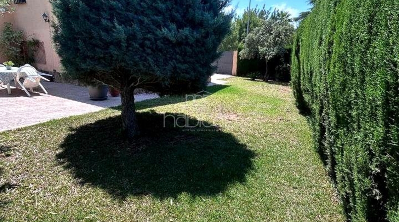 Valencia - La Eliana - 862m2