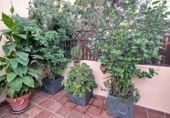 Chalet independiente con terreno en venta en la España, Mazagón, ref: TR150164 foto