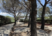 Casa de camp amb terreny en venda a la España, Galapagar, ref.: TR319088 foto