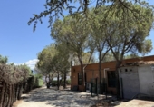 Casa de camp amb terreny en venda a la España, Galapagar, ref.: TR319088 foto