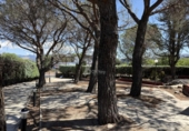 Casa de camp amb terreny en venda a la España, Galapagar, ref.: TR319088 foto