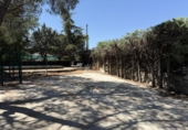 Casa de camp amb terreny en venda a la España, Galapagar, ref.: TR319088 foto